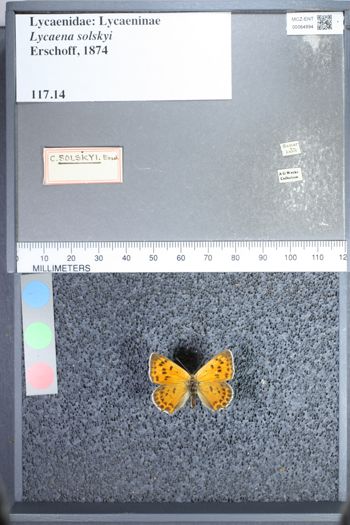 Media type: image;   Entomology 64894